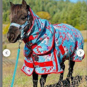 46-48 Star point Pony Blanket & Halter Set